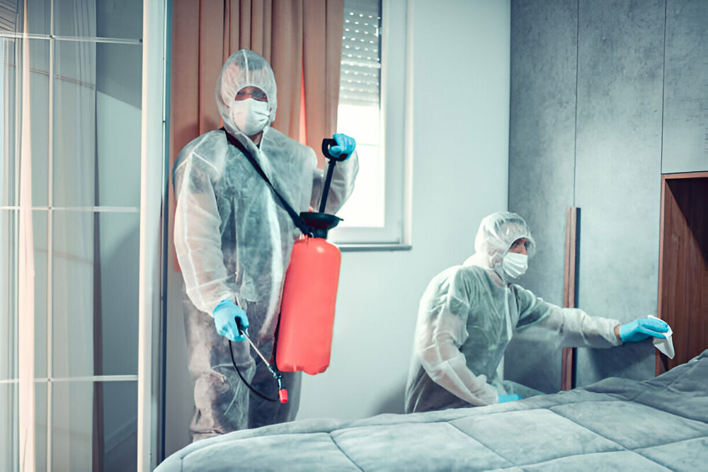 Bed Bug Control Hamilton